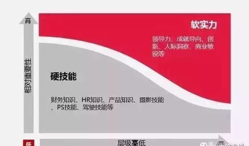 无人水饺工厂的兴起 自动化浪潮下的挑战与数字文创的机遇